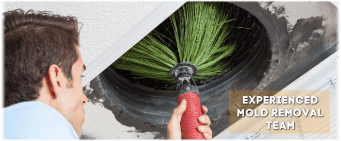 Air Duct Mold Removal in Bayonne NJ